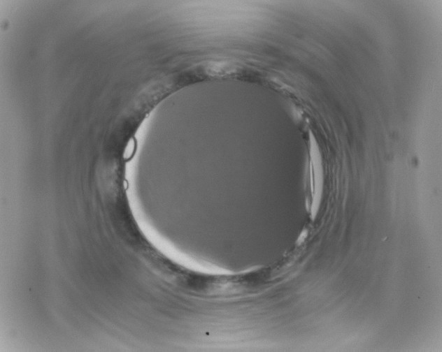 X0000070350319200607072045