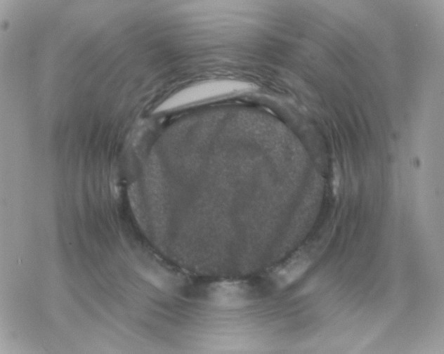 X0000070350320200607072045