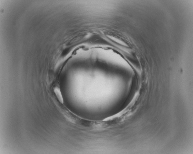 X0000070350321200607072044