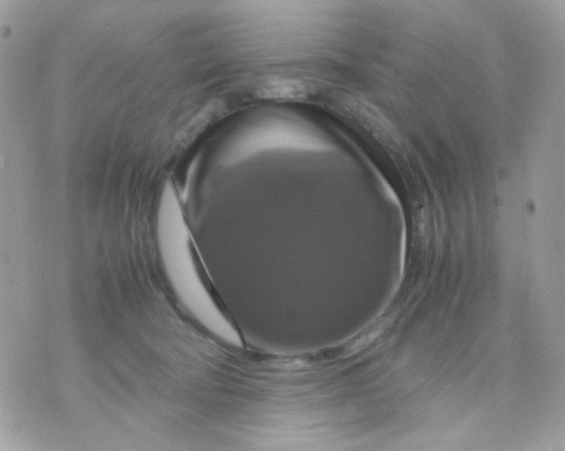 X0000070350322200607072044