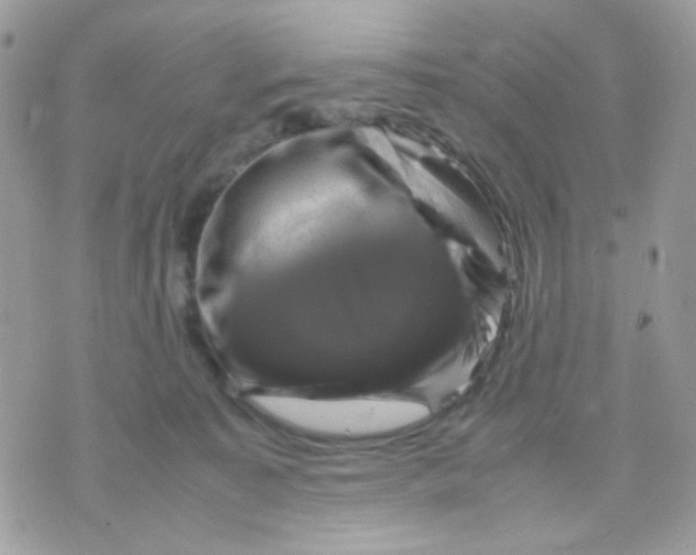 X0000070350323200607072044