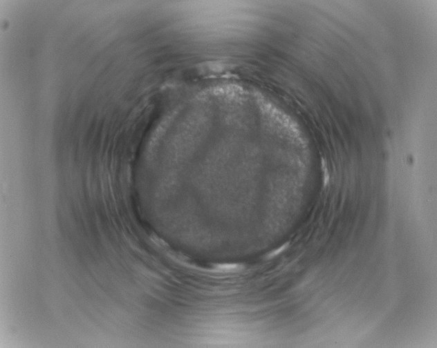 X0000070350324200607072044