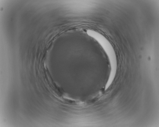 X0000070350325200607072044