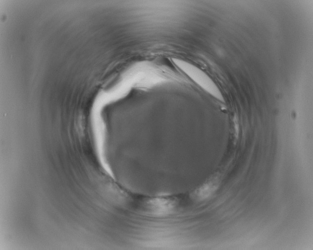 X0000070350326200607072044