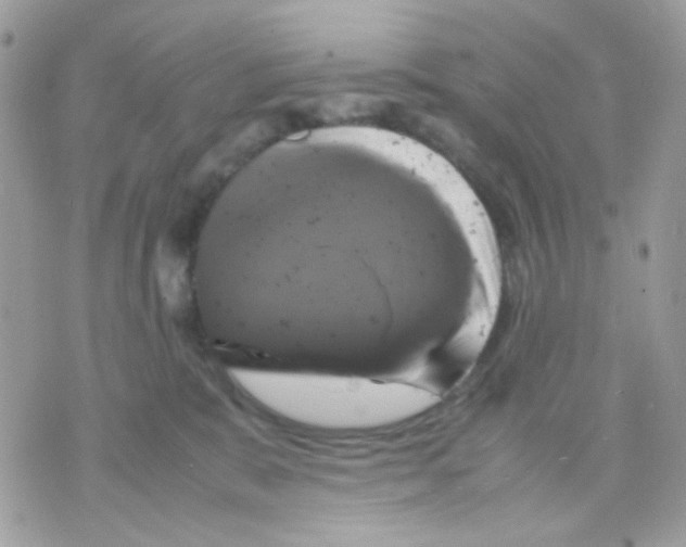 X0000070350327200607072044