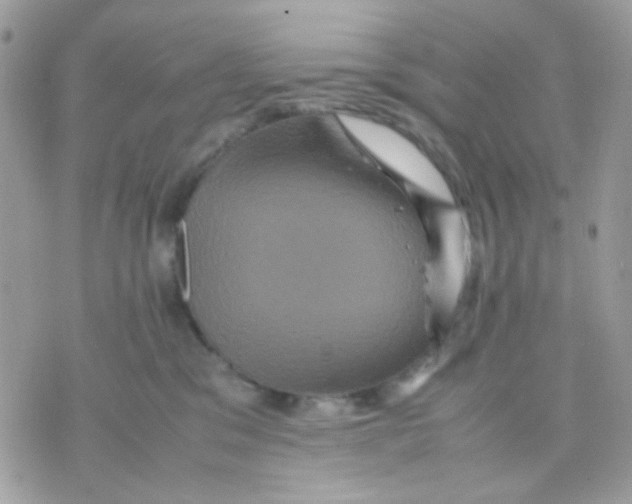 X0000070350329200607072044