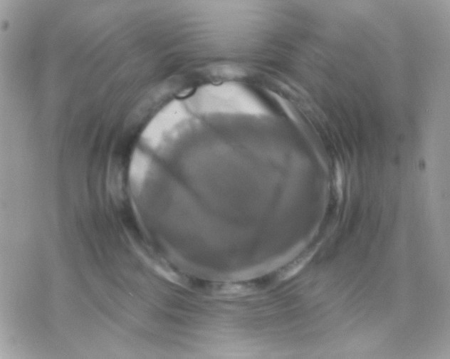 X0000070350330200607072044