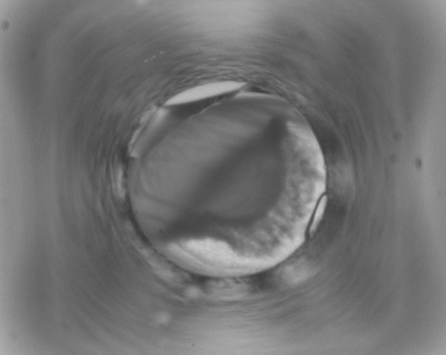 X0000070350331200607072044