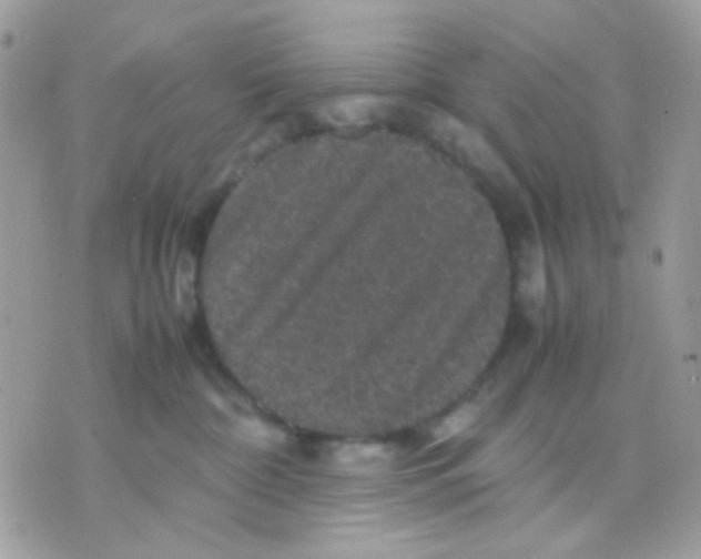 X0000070350332200607072044