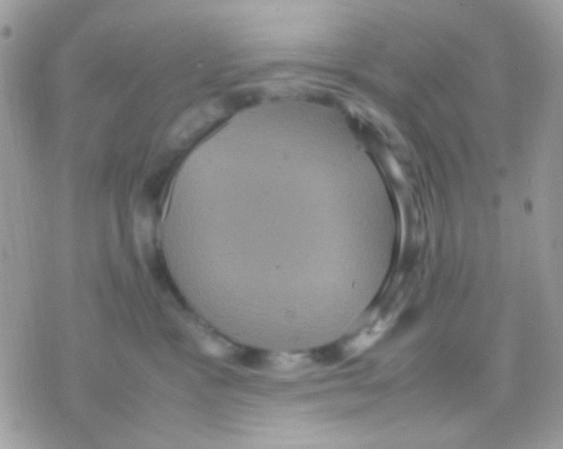 X0000070350333200607072044