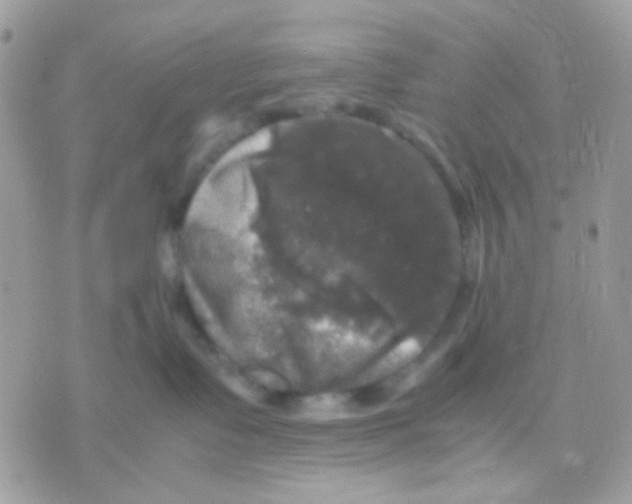 X0000070350335200607072044