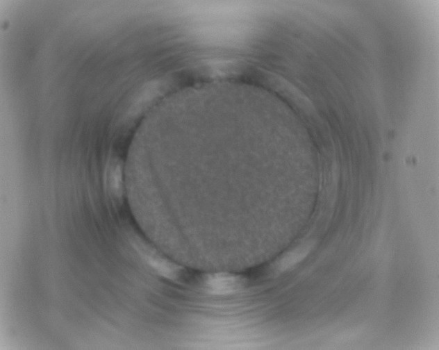 X0000070350336200607072044