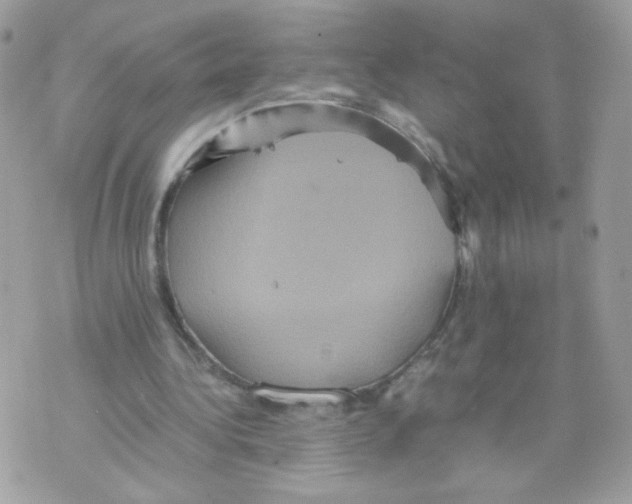 X0000070350340200607072044