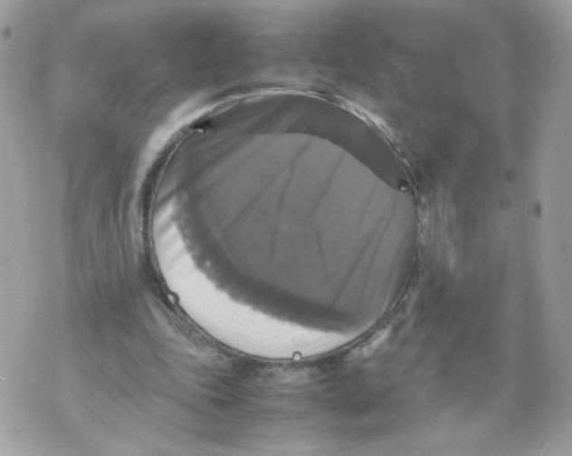 X0000070350343200607072044