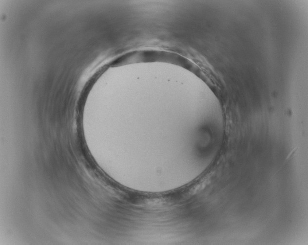 X0000070350344200607072044