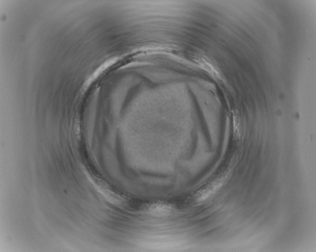 X0000070350348200607072044