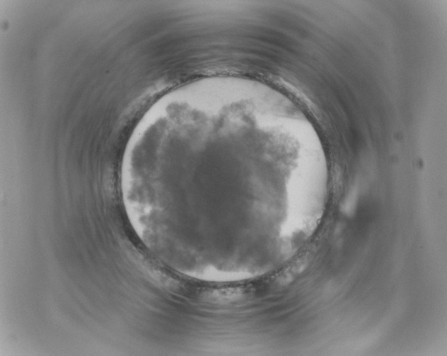 X0000070350353200607072044