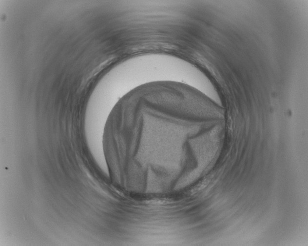 X0000070350356200607072044