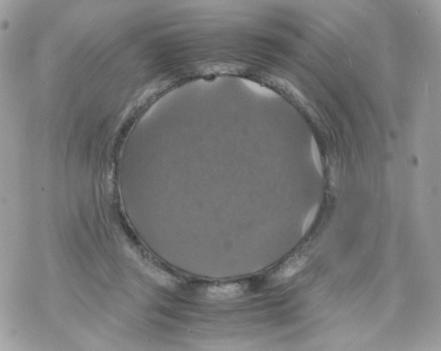 X0000070350357200607072044