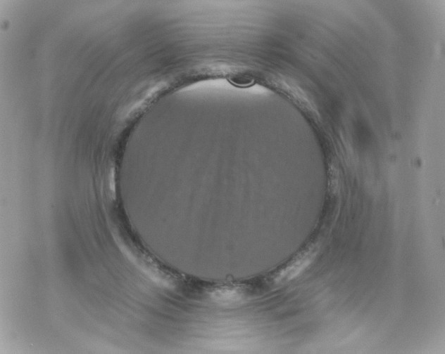 X0000070350358200607072044