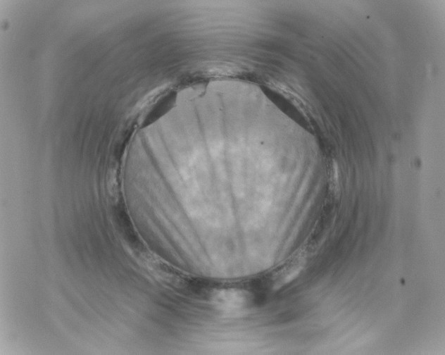 X0000070350360200607072044