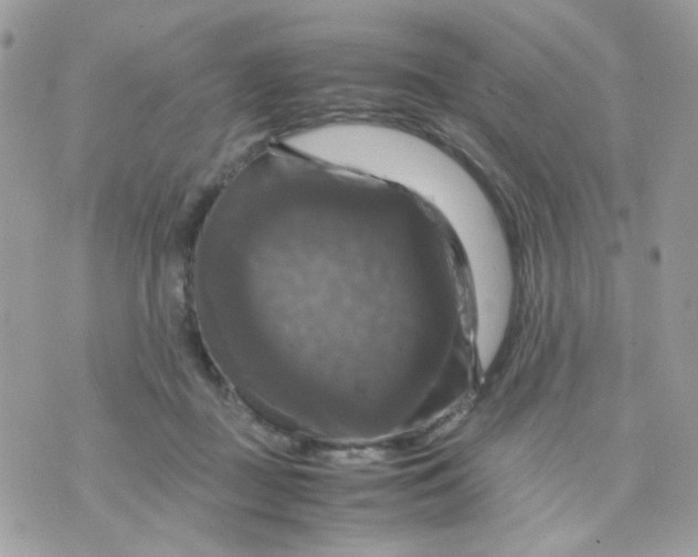 X0000070350363200607072044