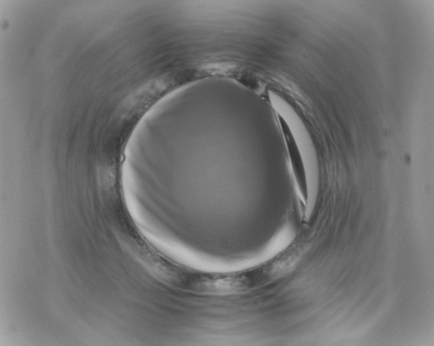 X0000070350365200607072044