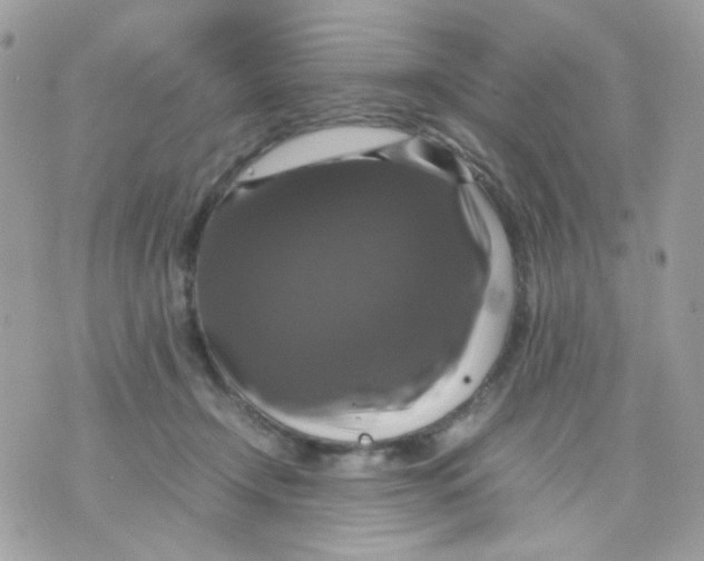 X0000070350366200607072044