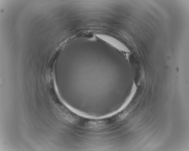 X0000070350367200607072044