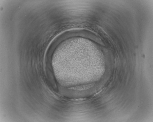 X0000070350368200607072044