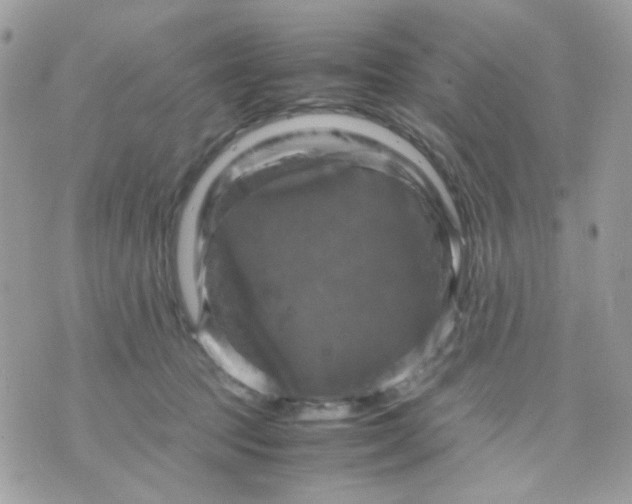 X0000070350369200607072044