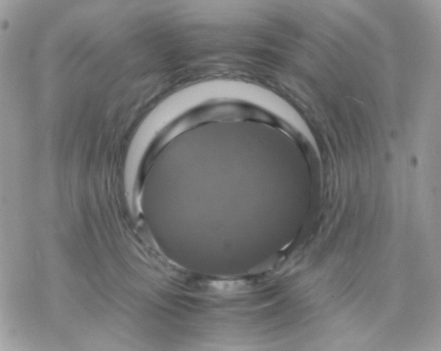 X0000070350371200607072044