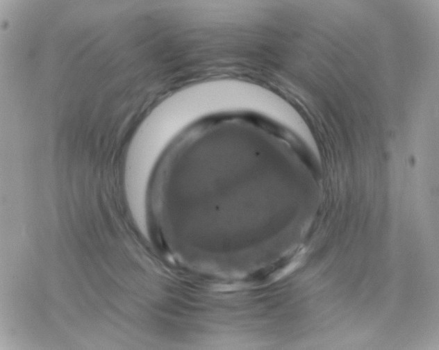 X0000070350373200607072044