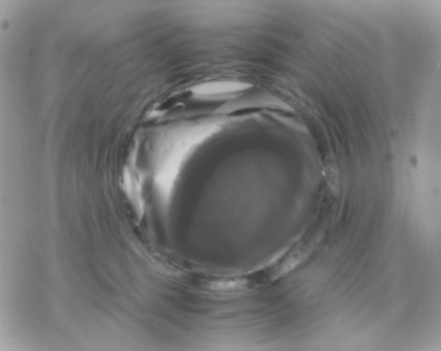 X0000070350375200607072044