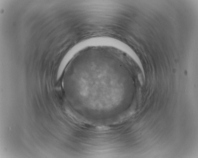 X0000070350376200607072044