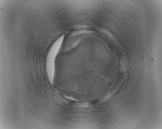 X0000070350377200607072044