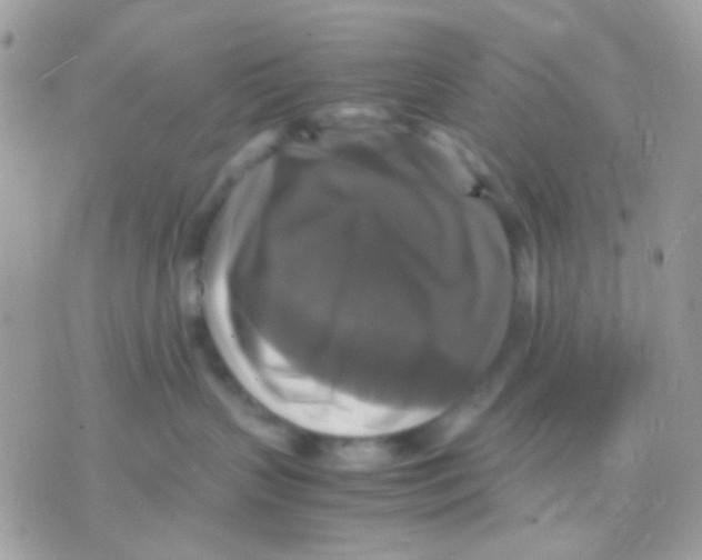 X0000070350383200607072044