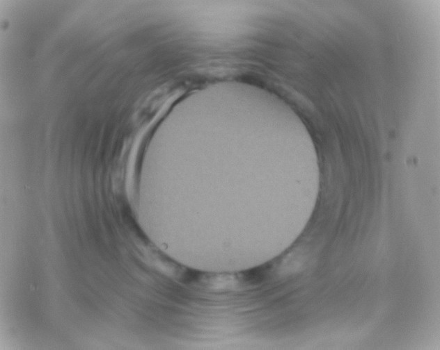 X0000070350384200607072044