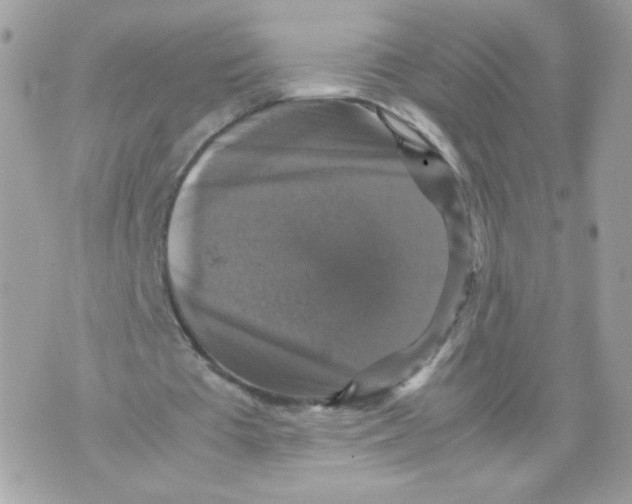 X0000070350385200607072043