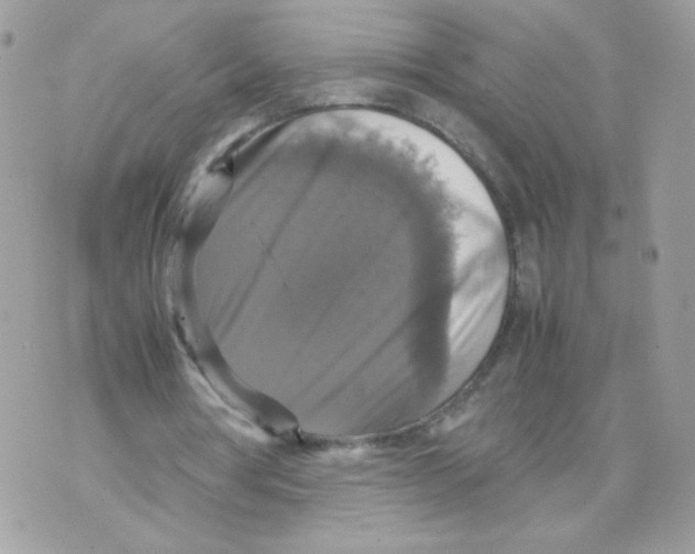 X0000070350386200607072043