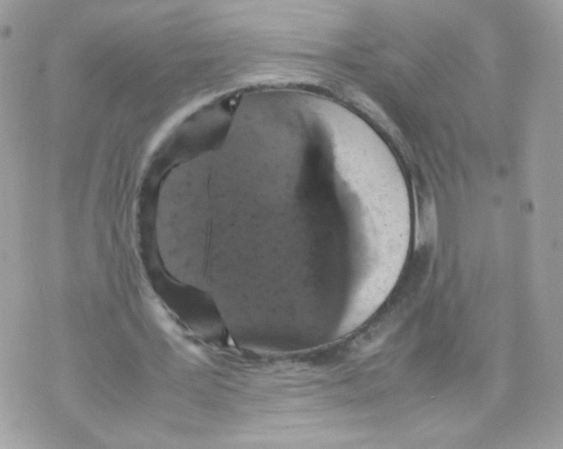 X0000070350387200607072043