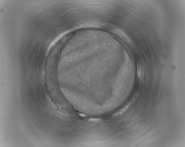 X0000070350388200607072043