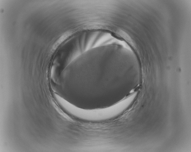 X0000070350389200607072043