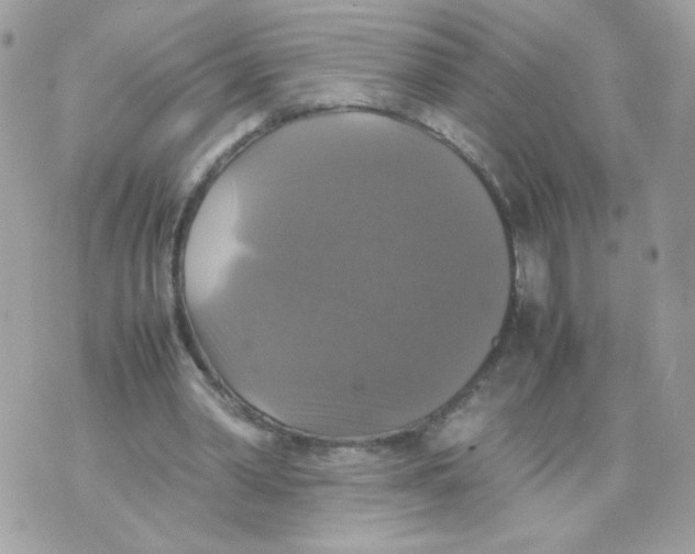 X0000070350390200607072043