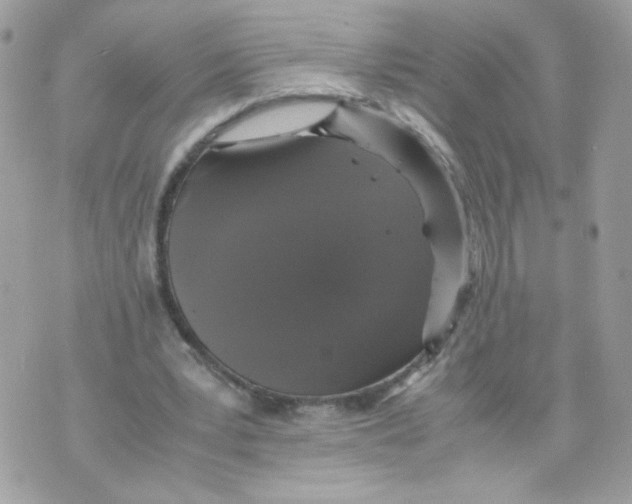 X0000070350391200607072043