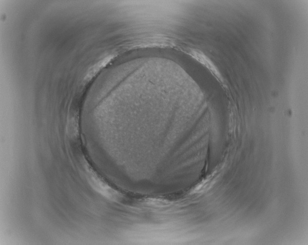 X0000070350393200607072043