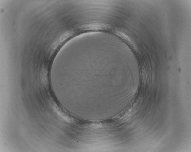 X0000070350394200607072043