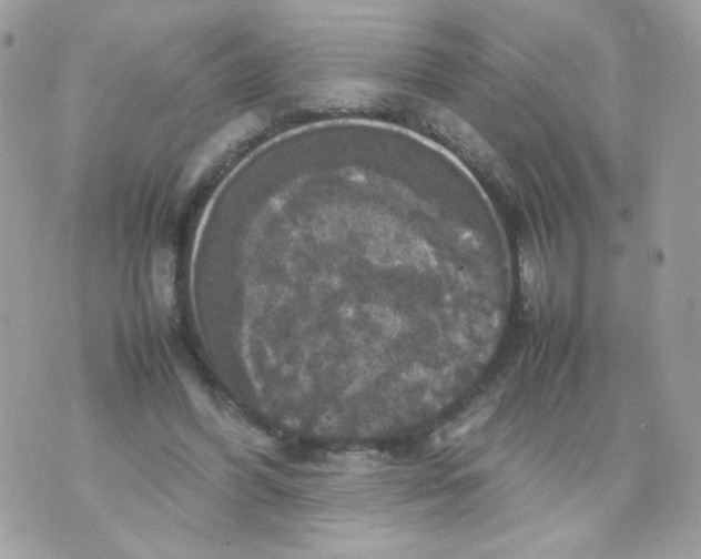 X0000070350396200607072043