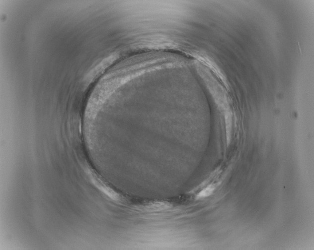 X0000070350397200607072043