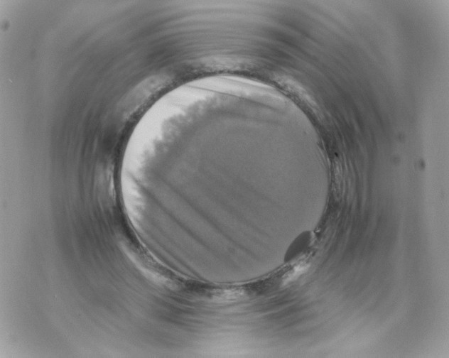 X0000070350398200607072043